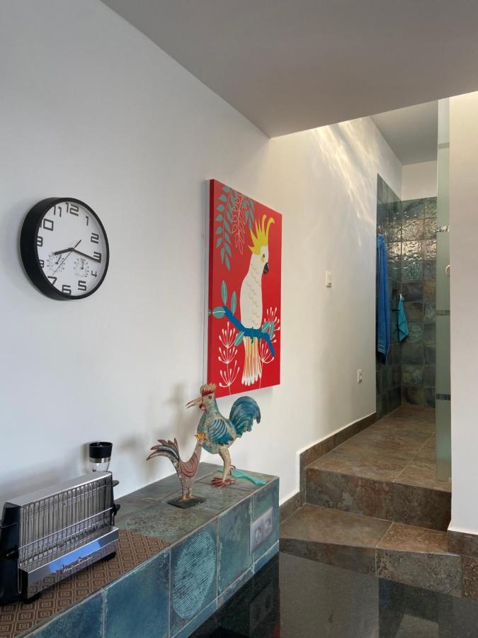 Villa Oasis La Paz - Acaymo Loft - Adults Only - Puerto de la Cruz  Exteriör bild