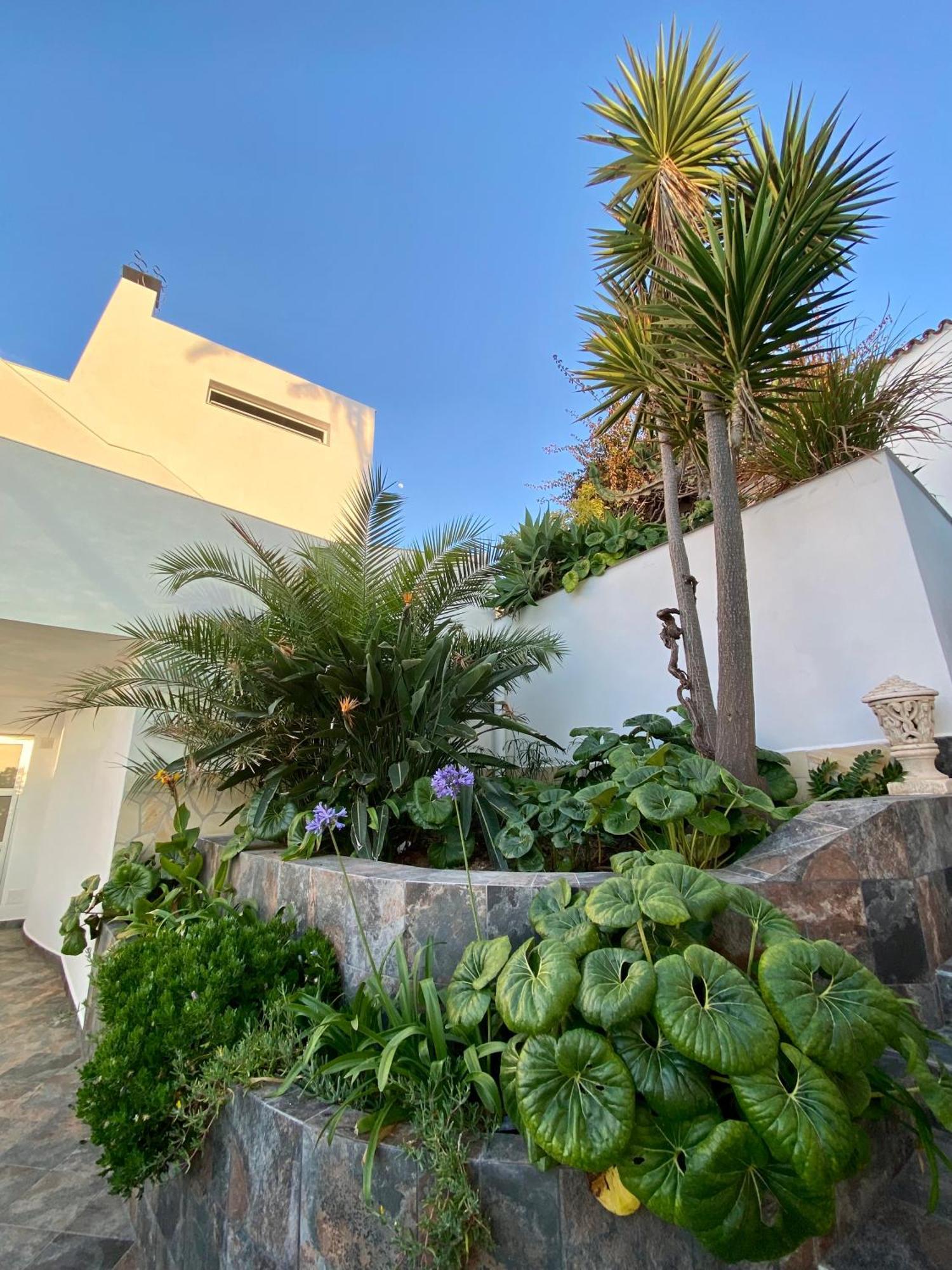 Villa Oasis La Paz - Acaymo Loft - Adults Only - Puerto de la Cruz  Exteriör bild